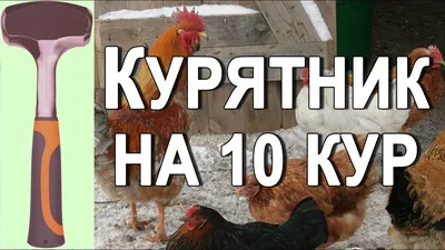 Курятник зимний на 50 кур