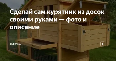 Как построить курятник на 10 кур своими руками в дачных условиях