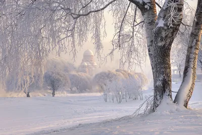 Самые красивые места зимнего Санкт-Петербурга — Teletype