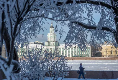 фото \"Ночной зимний Петербург\" | Санкт петербург, Город, Россия