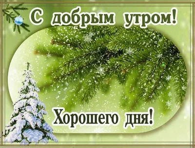 С добрым утром веселые новогодние открытки (35 фото) » Уникальные и  креативные картинки для различных целей - Pohod.club