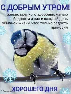 ❄️☃️🌟💗🌟☃️❄️ Зимнее Утро доброе! | Доброе утро, Веселые картинки, Открытки