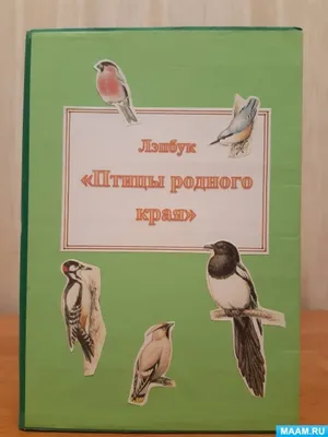 Биологи составили новую Красную книгу Алтайского края - YouTube