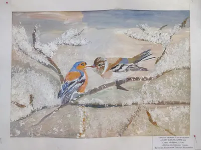 Зимние птицы алтайского края (35 фото) »