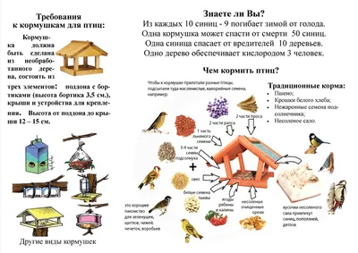 Конспект занятия «Зимующие птицы» в старшей группе детей с ТНР (9 фото).  Воспитателям детских садов, школьным учителям и педагогам - Маам.ру