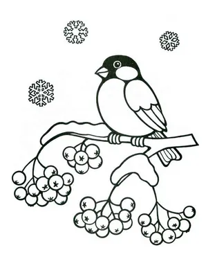 зимующие птицы Archives - RADIO•R