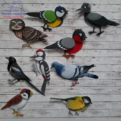 Рисунок Зимующие птицы №43845 - «Зимняя сказка» (22.01.2024 - 16:48)