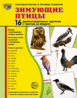 Зимующие птицы. А2. купить оптом в Екатеринбурге от 39 руб. Люмна