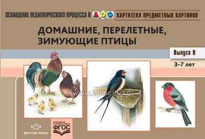 Развивающие карточки ТЦ Сфера Зимующие птицы купить по цене 259 ₽ в  интернет-магазине Детский мир