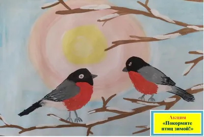 Мастер-класс «Акварельные штудии. Зимующие птицы» | Оренбургский областной  музей изобразительных искусств