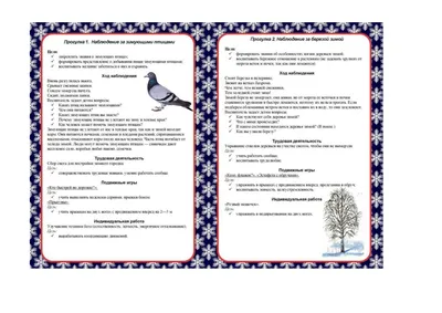 Иллюстрация 12 из 13 для Раздаточные карточки Зимующие птицы, 16 карточек |  Лабиринт - книги. Источник: С