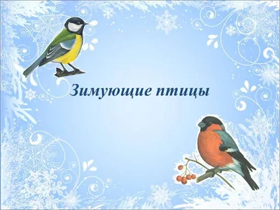 Зимующие птицы 2024, Азнакаевский район — дата и место проведения,  программа мероприятия.