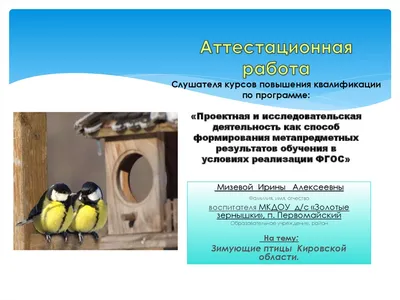 Перелетные птицы хакасии - 97 фото