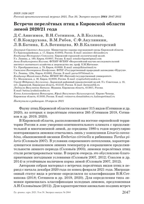 В Кировской области нашли большую колонию редких птиц - Кировская правда,  газета региона