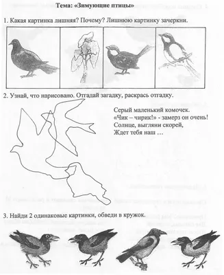 Птицы Кировской области | ВКонтакте