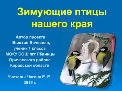 В Кировскую область возвращаются с зимовки птицы » ГТРК Вятка - новости  Кирова и Кировской области