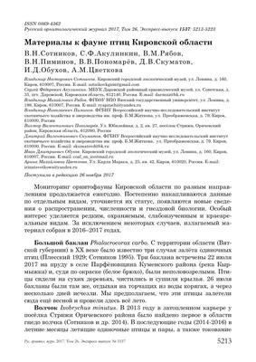 Картинки птицы летом с названиями (70 фото) » Картинки и статусы про  окружающий мир вокруг