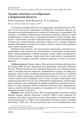 https://kirov.bezformata.com/listnews/zimnyaya-utinaya-perepis/127038487/
