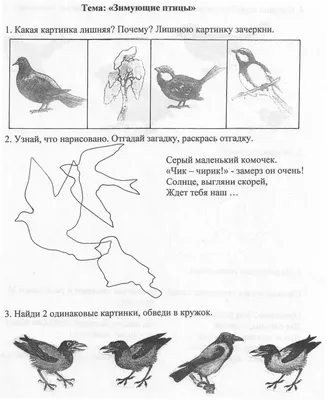 Зимующие птицы. Аппликации, поделки из бумаги - Лучшее - Страница 12.  Воспитателям детских садов, школьным учителям и педагогам - Маам.ру