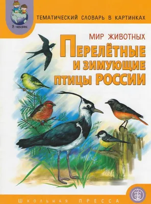 Какие птицы остаются зимовать в Тульской области | ИА “Тульская Пресса”