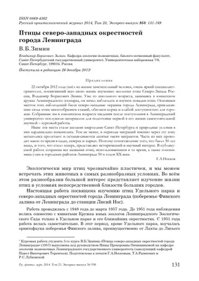 Птицы против летучих мышей • Сергей Коленов • Научная картинка дня на  «Элементах» • Зоология