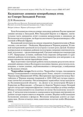 Птицы северо-западного Приладожья – тема научной статьи по биологическим  наукам читайте бесплатно текст научно-исследовательской работы в  электронной библиотеке КиберЛенинка