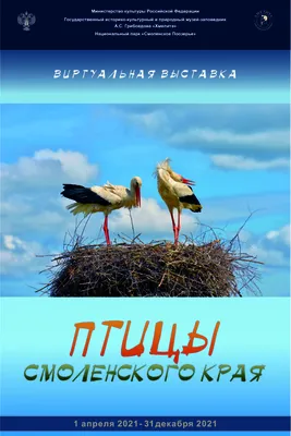 Зимующие хищные птицы и совы Предкавказья – тема научной статьи по  биологическим наукам читайте бесплатно текст научно-исследовательской  работы в электронной библиотеке КиберЛенинка