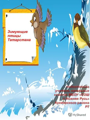 Презентация на тему: \"Зимующие птицы Татарстана\". Скачать бесплатно и без  регистрации.