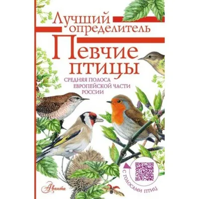 Итоги конкурса «Знакомьтесь, зимующие птицы Приамурья!». | 02.02.2023 | Зея  - БезФормата