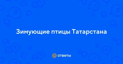 Итоги конкурса «Знакомьтесь, зимующие птицы Приамурья!». | 02.02.2023 | Зея  - БезФормата