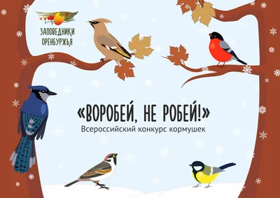 Дистанционный курс по основам бердвотчинга , определению и изучению  городских птиц