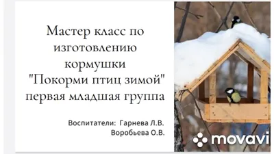 В Волгоградской области стартовала акция «Покормите птиц»