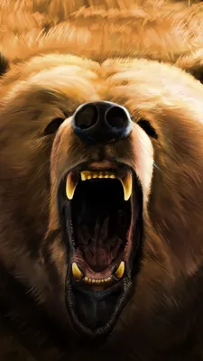 Фотография медведя в формате webp для фона компьютера