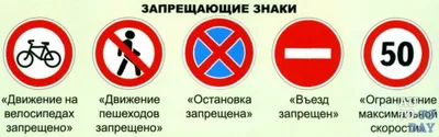 Запрещающие знаки ПДД РФ 2023 года с Комментариями, пояснениями и  иллюстрациями (включая последние изменения и дополнения)