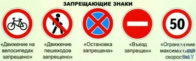 Дорожные знаки к ПДД: обозначения, пояснения, штрафы | Авто Mail.ru