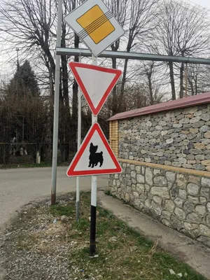 Набор напольный «Знаки дорожного движения» купить в Чите Игрушечный  транспорт из дерева в интернет-магазине Чита.дети (1779162)