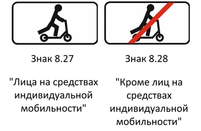 Изменения ПДД с 1 марта 2023: что есть в новых правилах