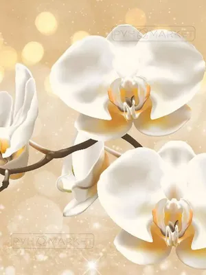 Кондиционер для белья Bis Золотая орхидея, концентрат (900 мл) - IRMAG.RU