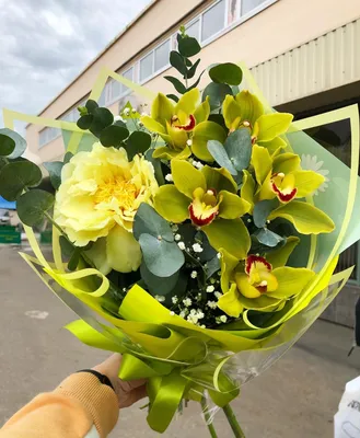 Купить Lenor Золотая Орхидея 1.8 л в Алматы – Магазин на Kaspi.kz
