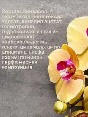 Броши: \"Золотая орхидея\" купить в интернет-магазине Ярмарка Мастеров по  цене 3854 ₽ – K2IZMBY | Брошь-булавка, Пермь - доставка по России