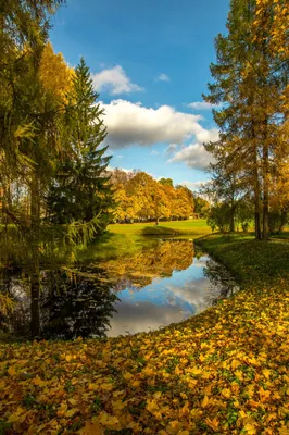 Грустная осень на фото