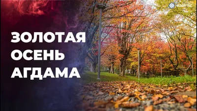 Озеро. Осень #1, Рем Сайфульмулюков- картина, осенний лес, озеро, золотая  осень, пейзаж, реализм