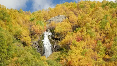 Золотая осень во Владивостоке: Самое красивое время года