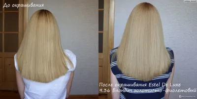 Золотисто фиолетовый блондин фото фотографии