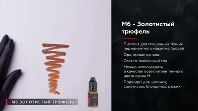 Крем-краска для волос PALETTE (Палет) цвет G3 (4-5) Золотистый трюфель  (3838824188942) ХЕНКЕЛЬ МАРИБОР ДОО (Словения) - Купить PALETTE по низкой  цене в Украине - МИС Аптека 9-1-1