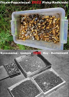 Нужно ли менять зубные коронки, как часто следует это делать?