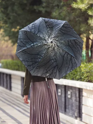 Зонт как стильное дополнение гардероба мужчины - Блог - Albione