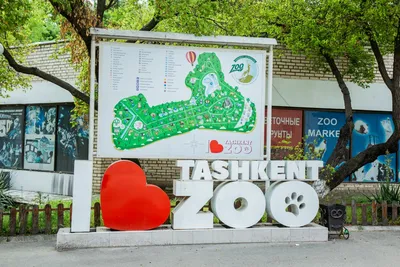 Ташкентский зоопарк передают в доверительное управление – Новости  Узбекистана – Газета.uz