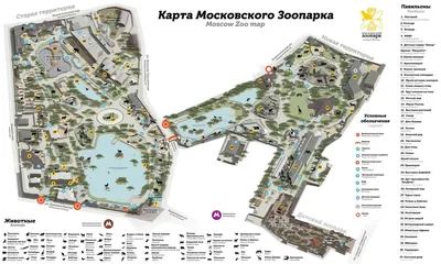 Московский зоопарк (Москва): фото и отзывы — НГС.ТУРИЗМ