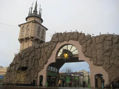 Московский зоопарк: мероприятия, еда, цены, билеты, карта, как добраться,  часы работы — ParkSeason
